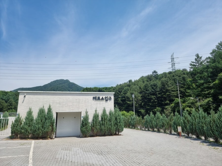 가평사계절썰매장 사진 2