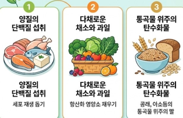 갑상선암 완치와 재발 방지를 위한 영양 관리 가이드 건강한 내일을 위한 식탁