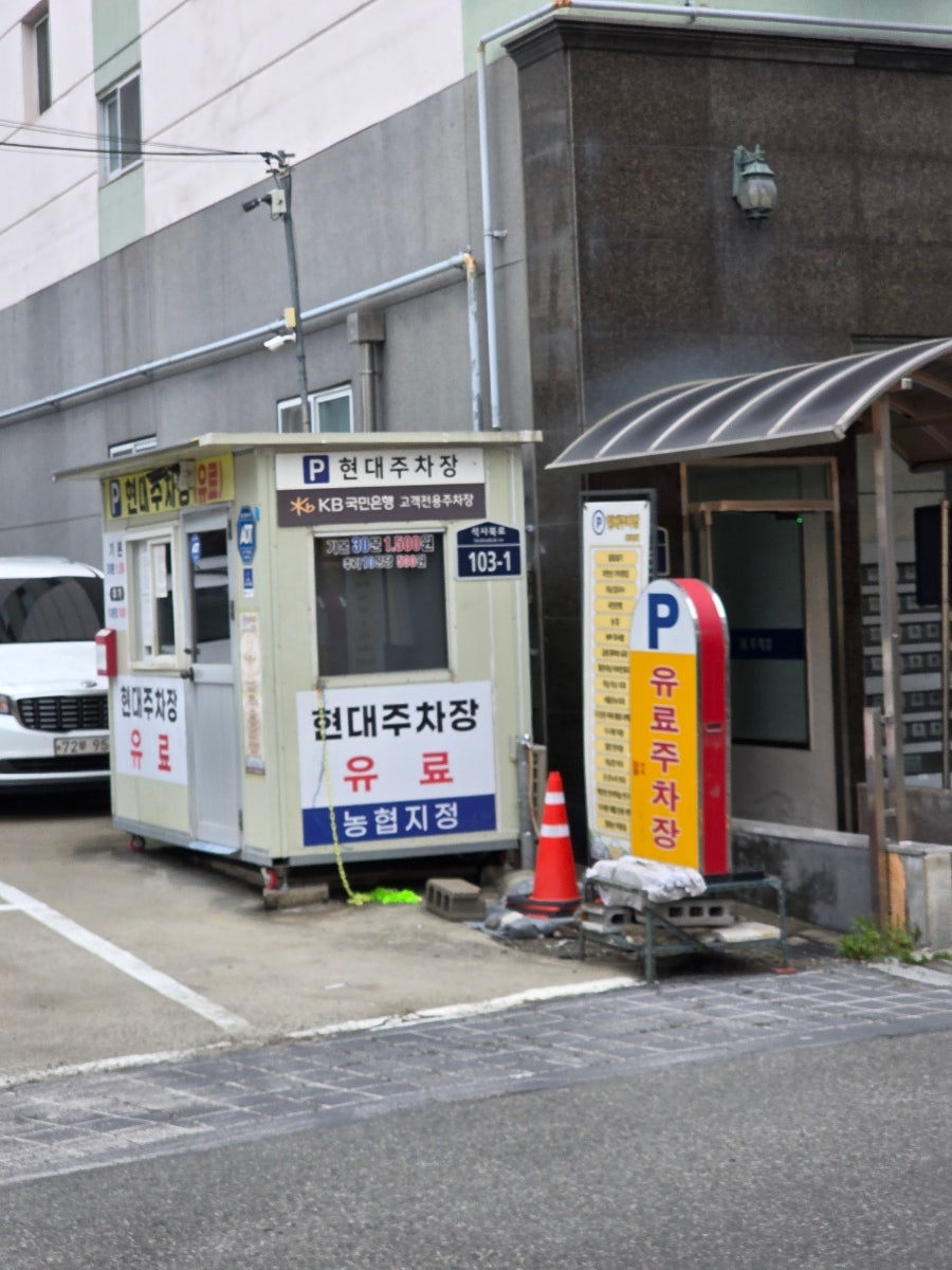 자연산가덕횟집 사진 3