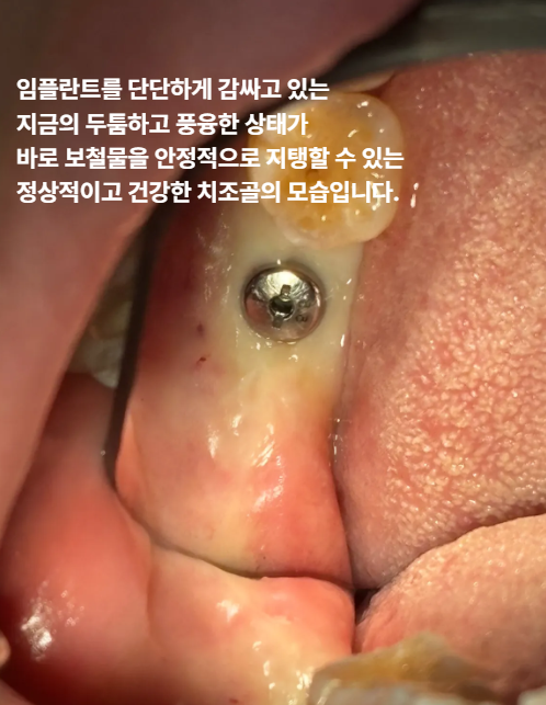연세원치과 사진 4