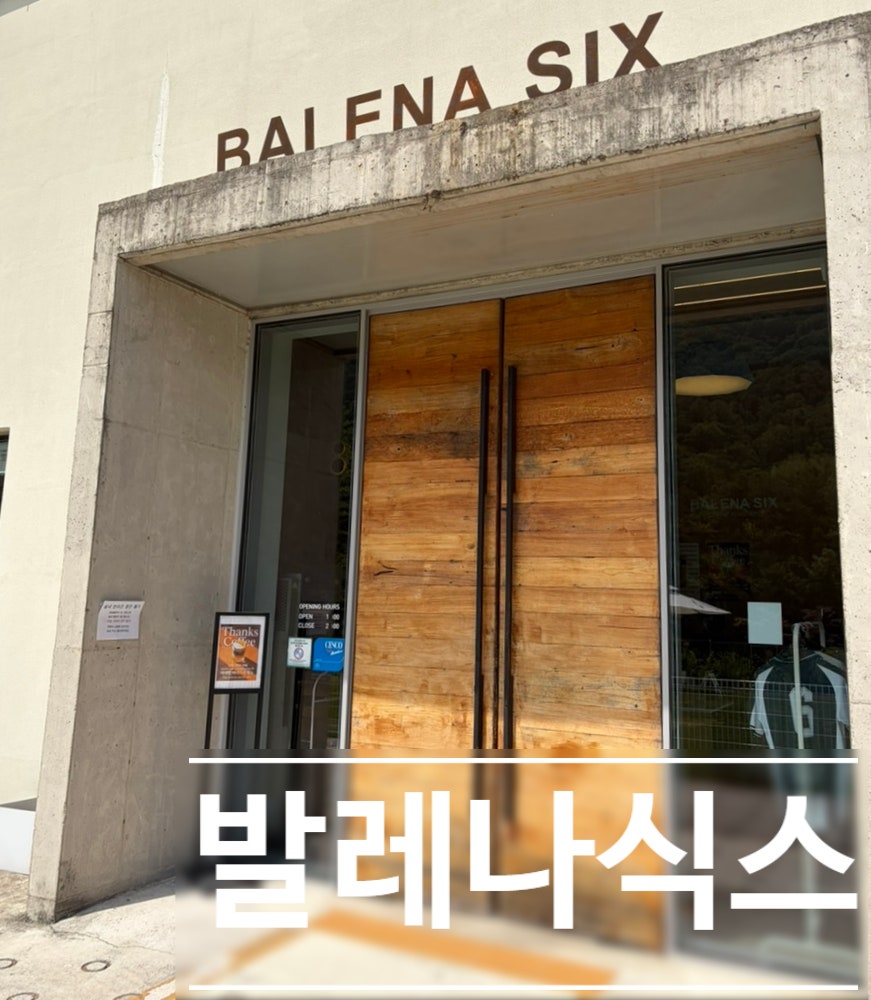 발레나식스 사진 1