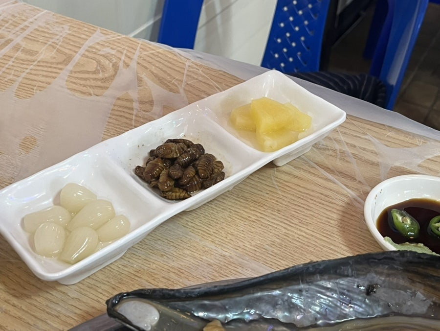 조개사랑 사진 4