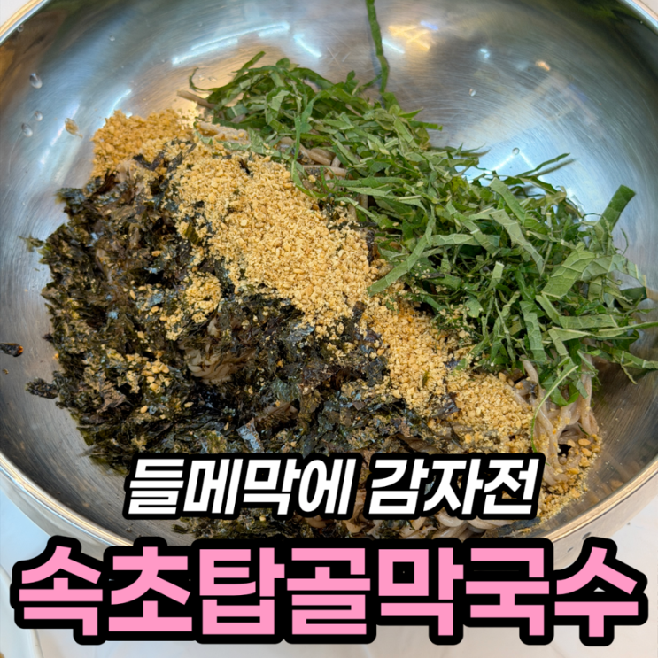  속초막국수맛집 속초탑골막국수 본점 들메막 감자전 후기