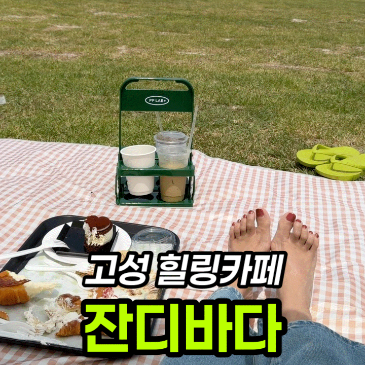  고성 잔디바다 피크닉세트 후기, 바다뷰 잔디밭 2시간 1만원