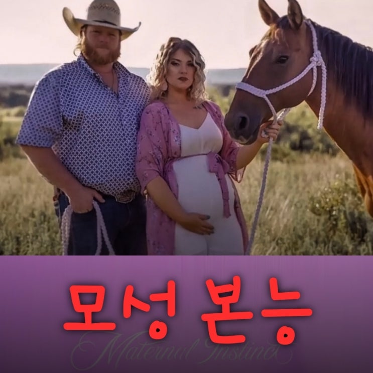  넷플릭스 모성 본능 결말 포함 줄거리 범죄 실화 다큐 영화 후기
