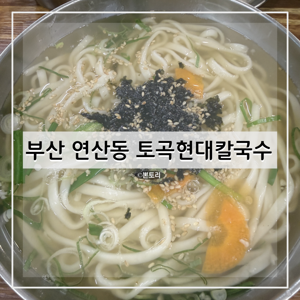 토곡현대칼국수 사진 1