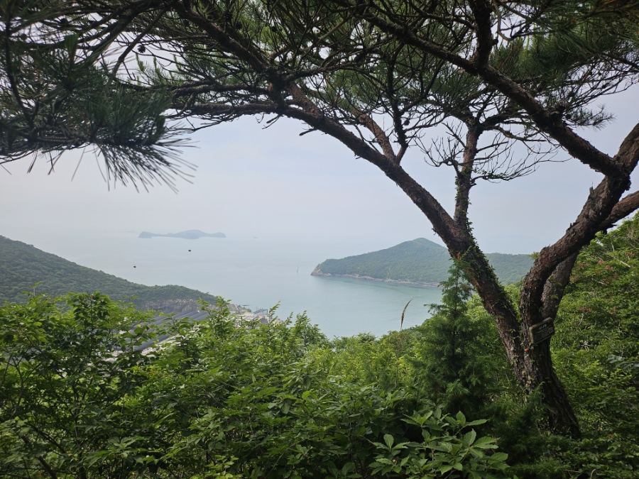 Nammangsan photo 6