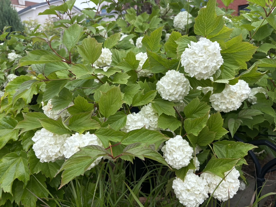 살랑바람과커피오라 사진 4