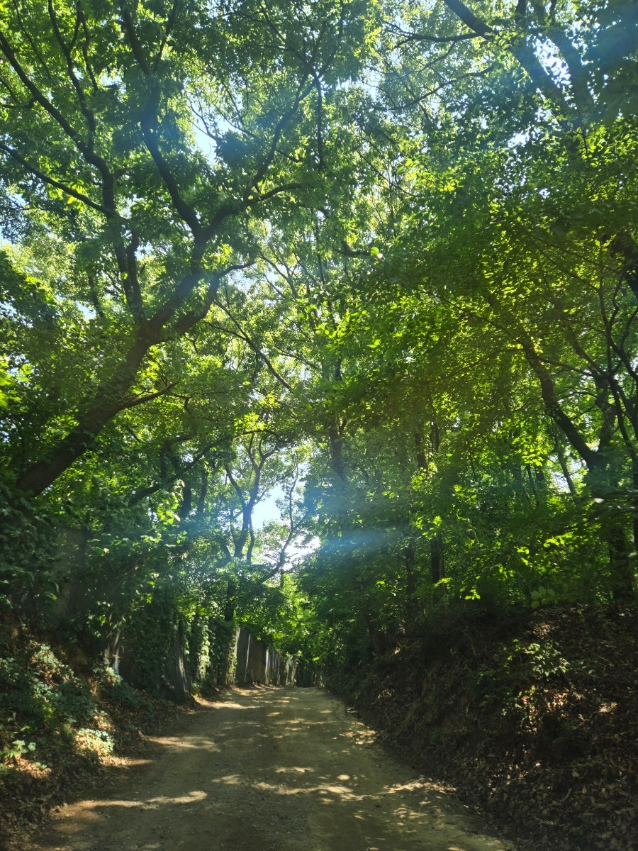 산마루가든 사진 2