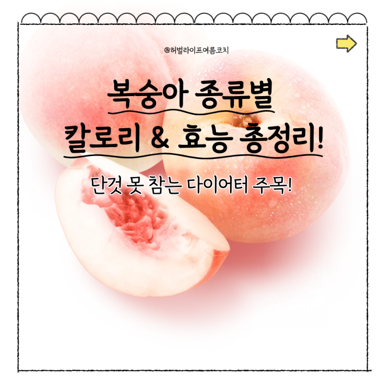 복숭아 칼로리 효능 종류별 총정리 | 부작용 주의사항