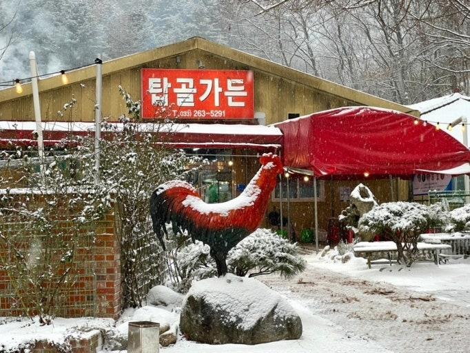 권할머니 사진 5