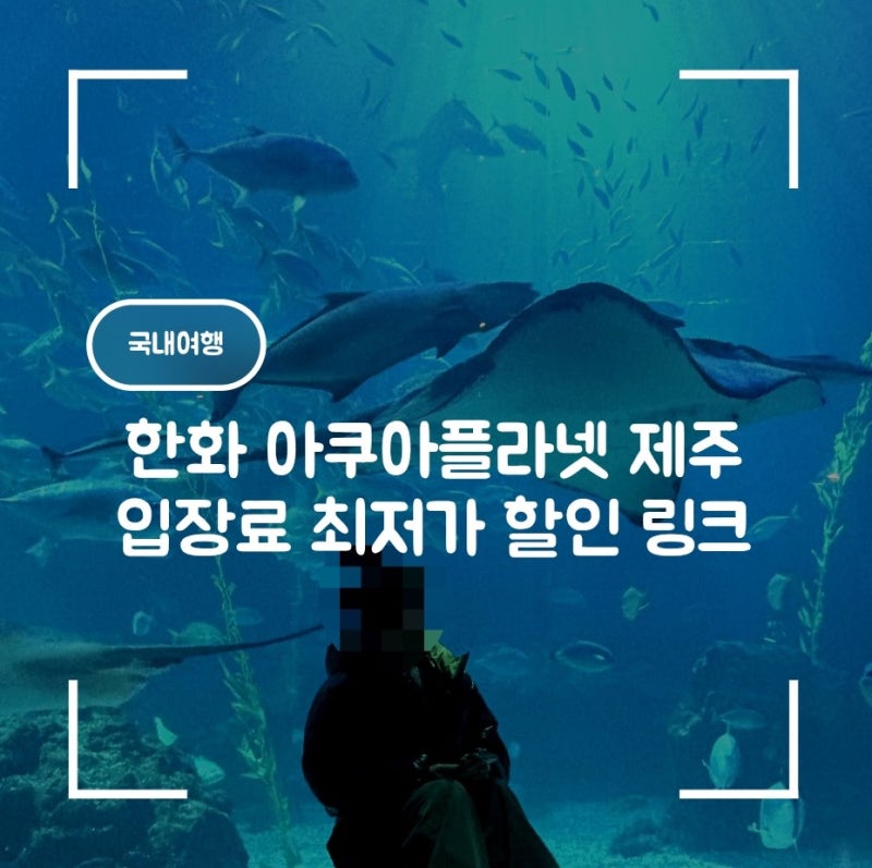 한화 아쿠아플라넷 제주 입장료 최저가 할인 링크