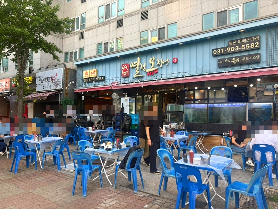 열정오징어 일산라페스타점 사진 2