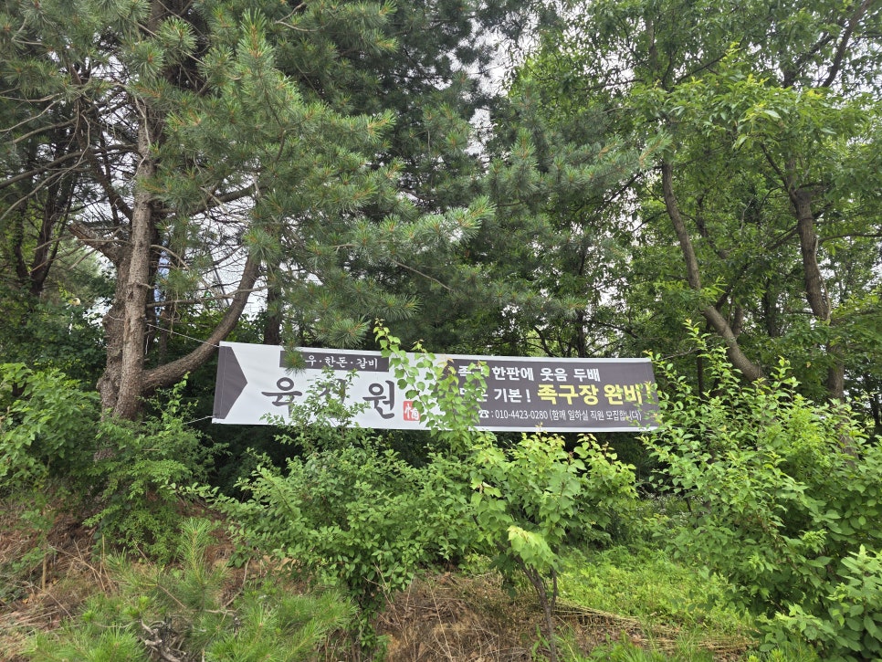 육정원 사진 2