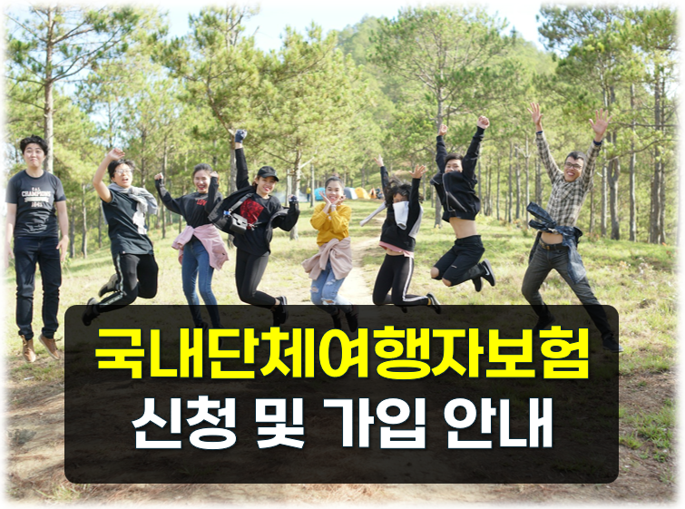 국내단체여행자보험 가입을 위해 필요한 정보, 신청방법, 플랜별(일반형vs고급형) 가입비용 ....