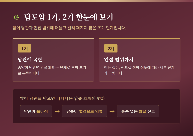 담도암 1기 2기 증상과 원인, 수술 후 회복 관리 방법