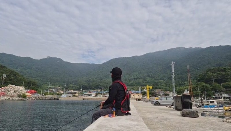 AI와 함께한 사량도 무늬오징어 낚시캠핑 1부｜섬 선택부터 낚시캠핑 준비까지