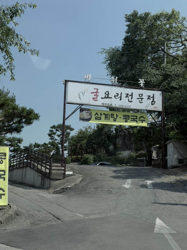 바위꽃 사진 1