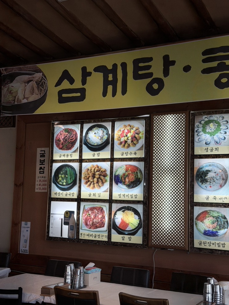 바위꽃 사진 4