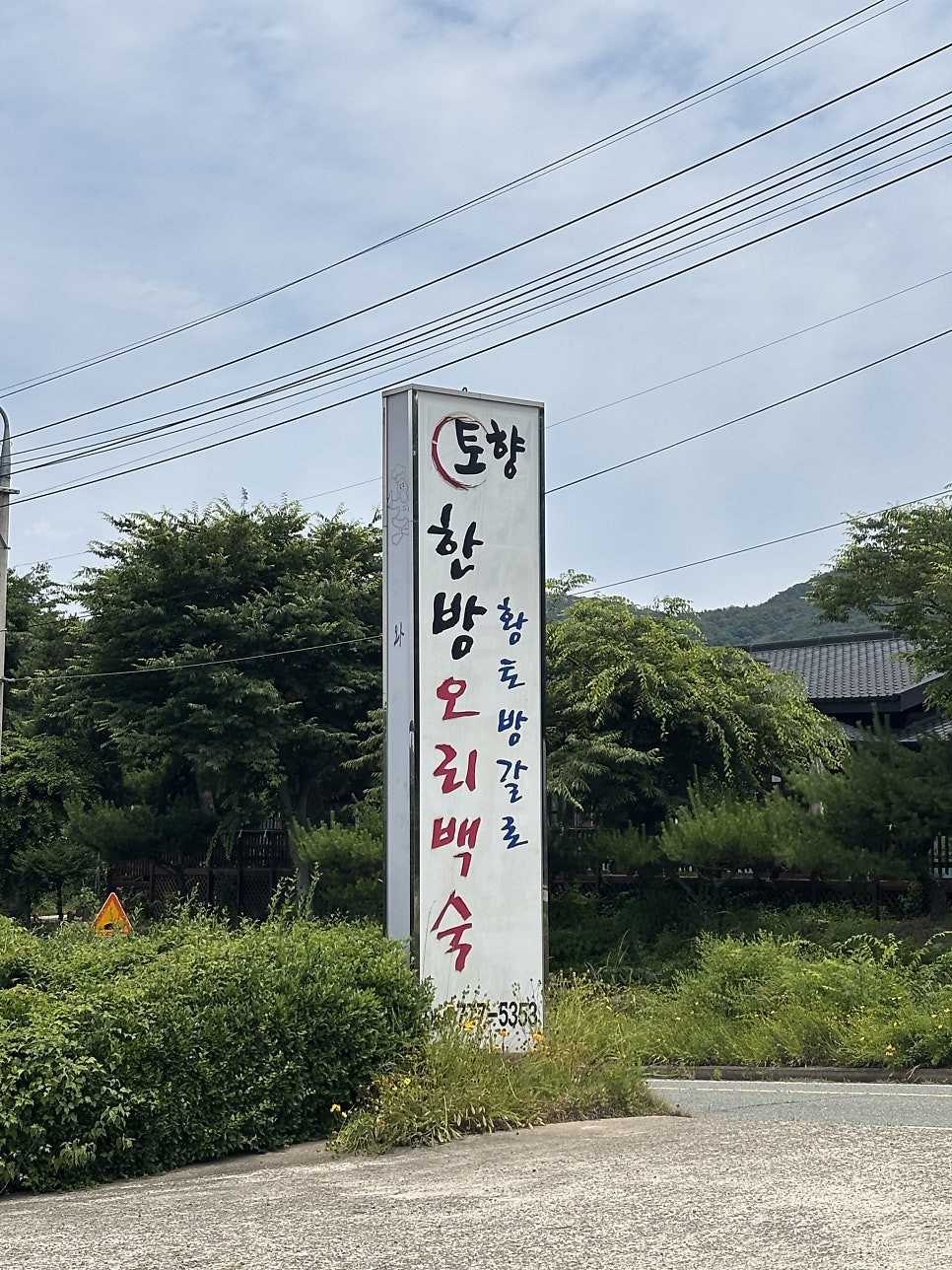 토향 사진 1