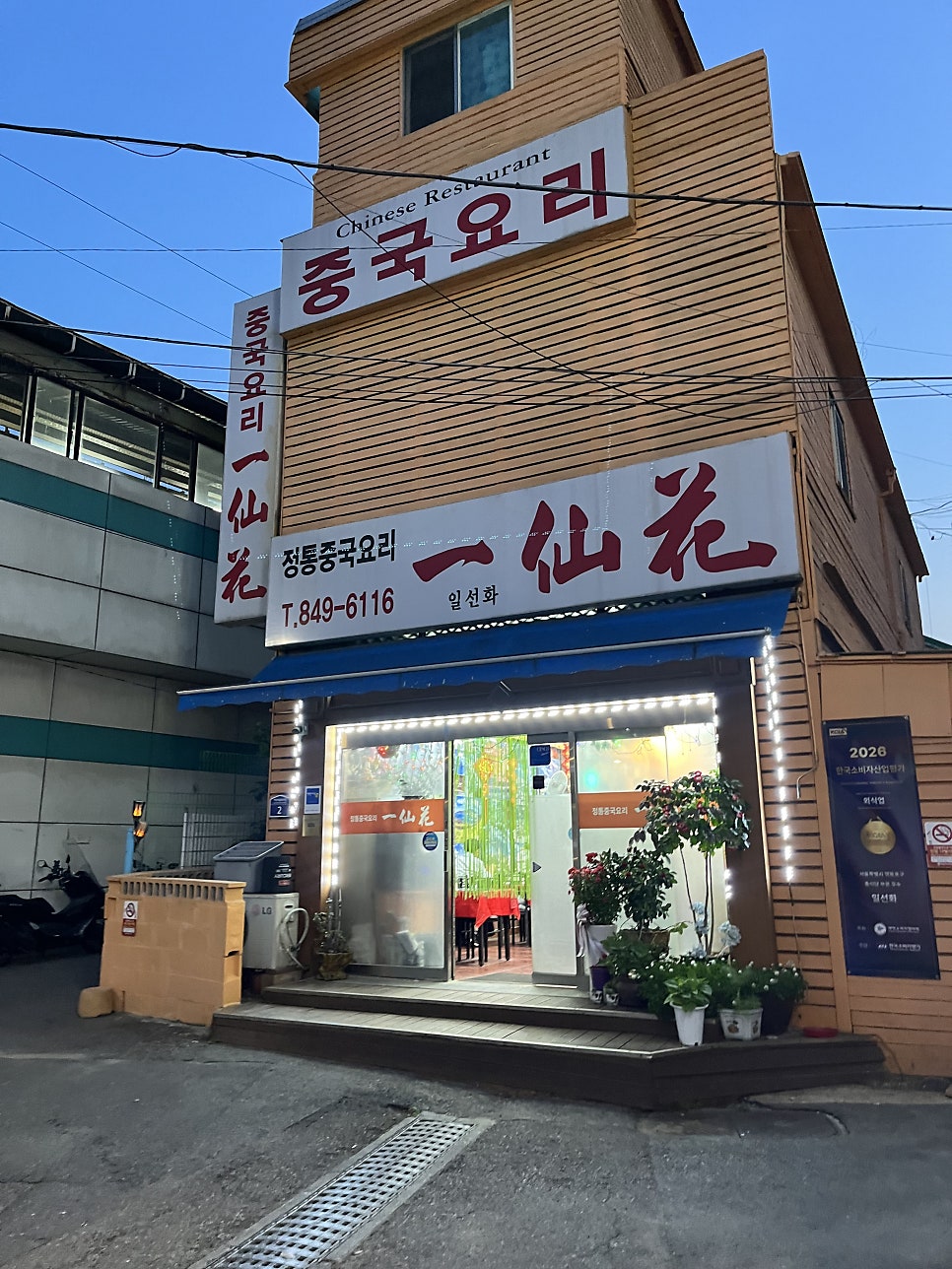 일선화 사진 2