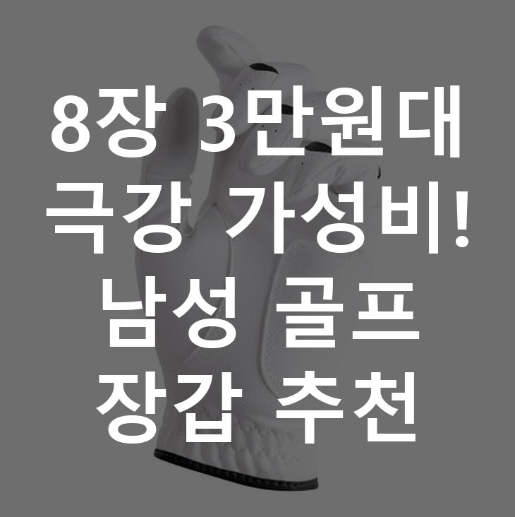 8장 3만원대 극강 가성비! 남성 골프 장갑 추천