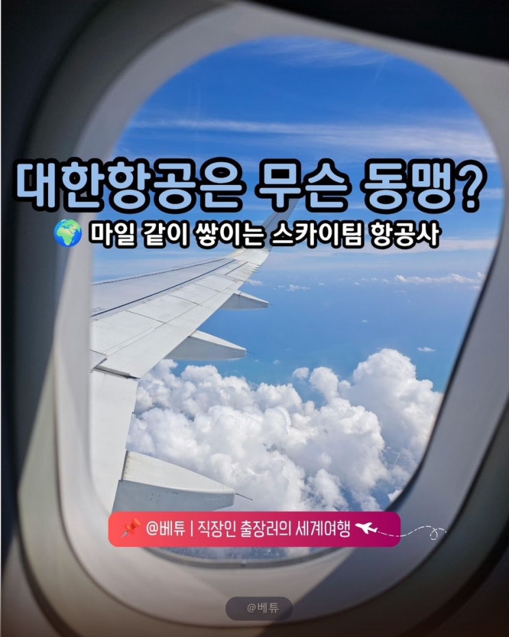  대한항공 스카이팀 완벽정리 - 마일 같이 쌓이는 스카이팀 항공사 총정리 (마일리지 적립)