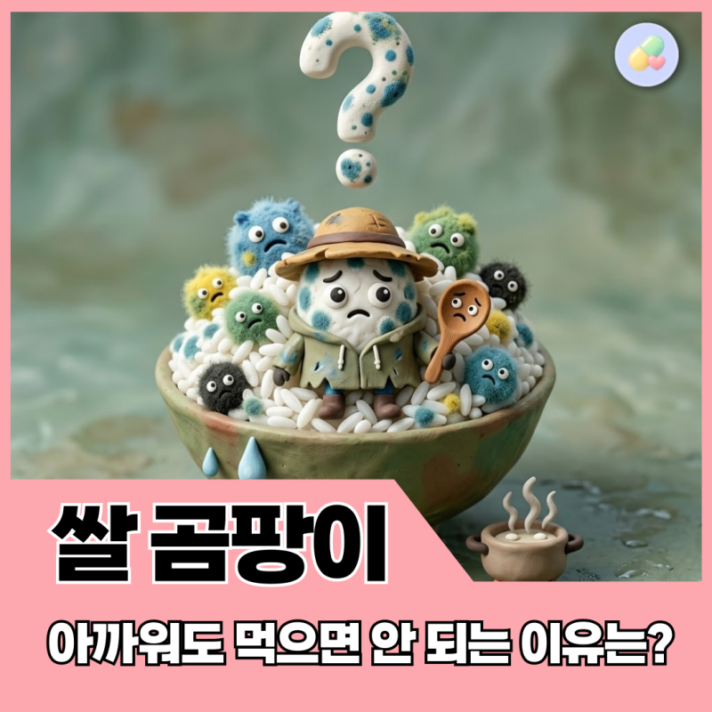 장마철 쌀 곰팡이, 씻어먹으면 괜찮을까? 약사가 보는 폐기 기준