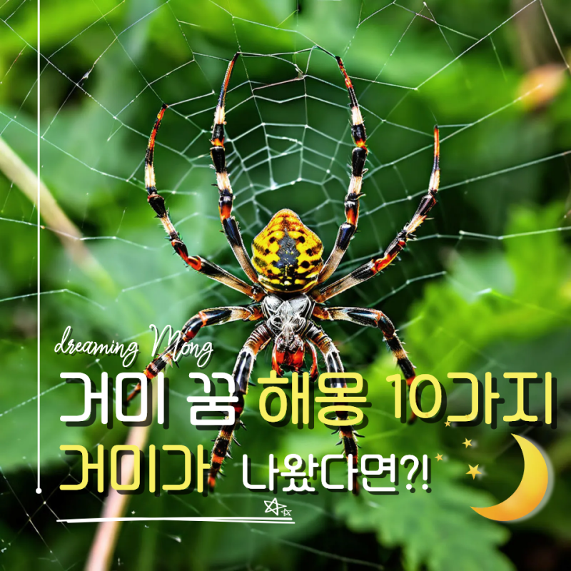 거미 꿈 해몽 10가지 상황별 의미와 길몽 흉몽 총정리