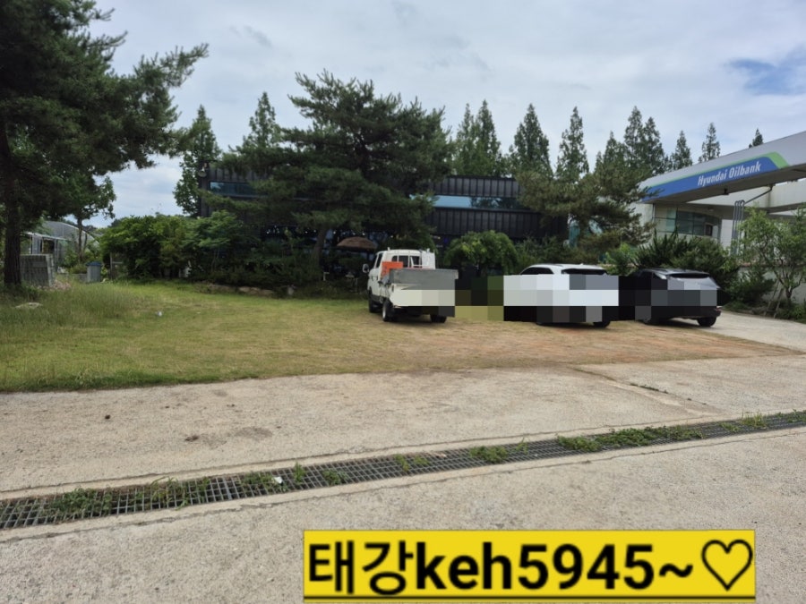 봉구네 사진 2