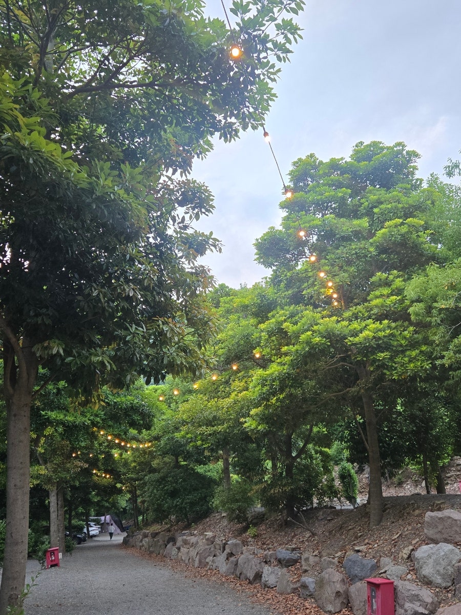 진도 카멜리아 힐즈 오토캠핑장 사진 1