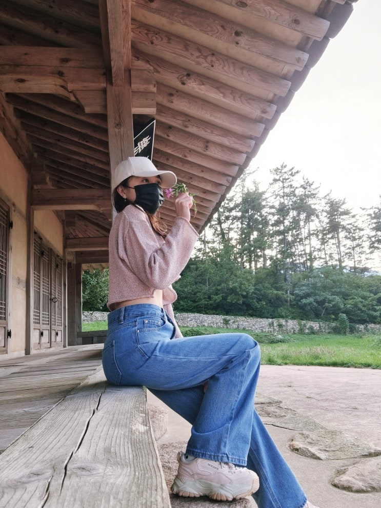  전라도 섬여행 1박2일 완도 여행 당사도 보길도 숙박