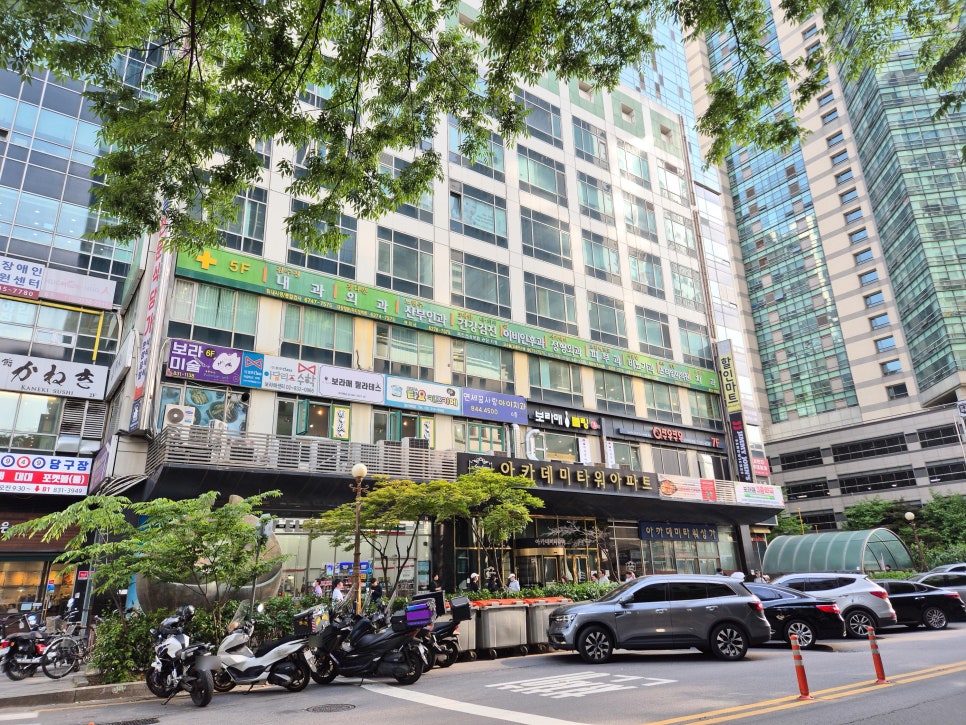 이태리로간고등어 사진 2