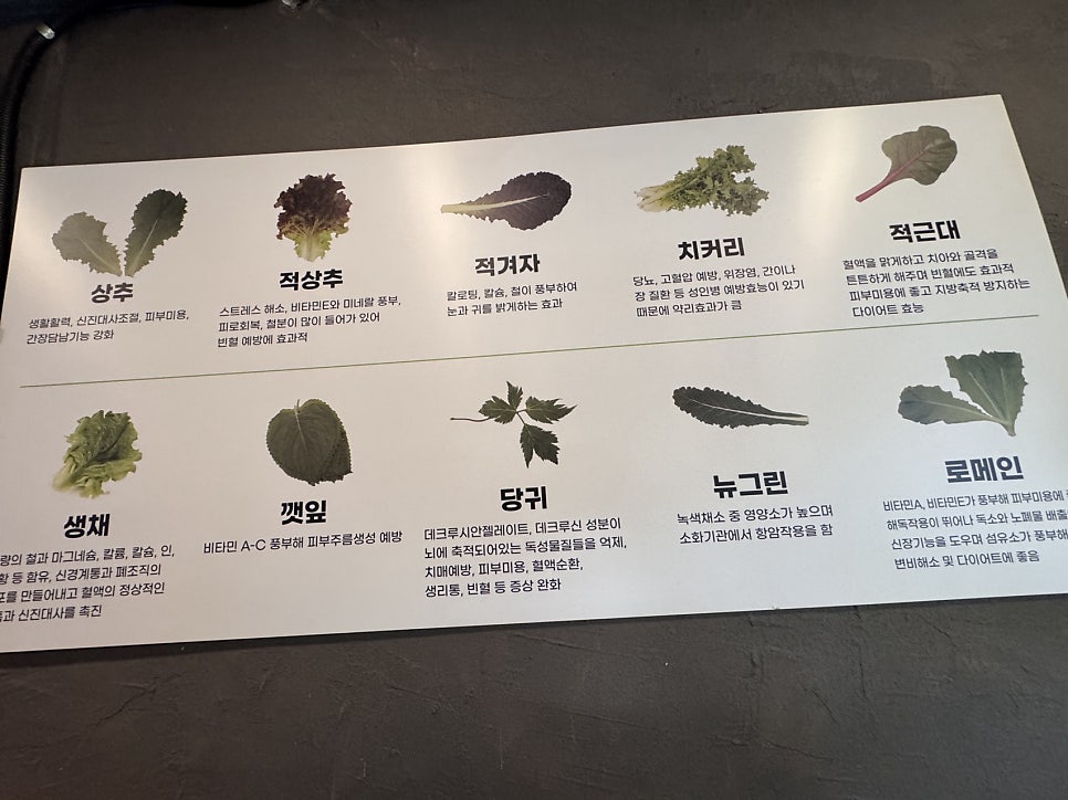 도래샘 사진 5