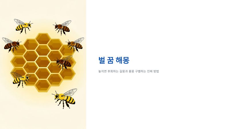 벌 꿈 해몽 놓치면 후회하는 길몽과 흉몽 구별하는 진짜 방법