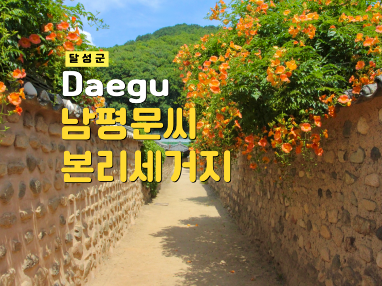 대구 남평문씨본리세거지 <b>능소화</b> 명소 실시간 개화시기 6월... 