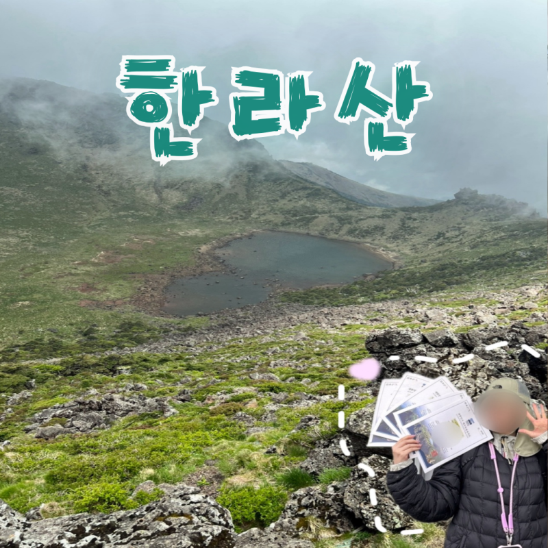 [제주도 한라산] 5년 연속 한라산등정인증서 보유자의 한라산 완벽 가이드! 여자 혼자 한라산....