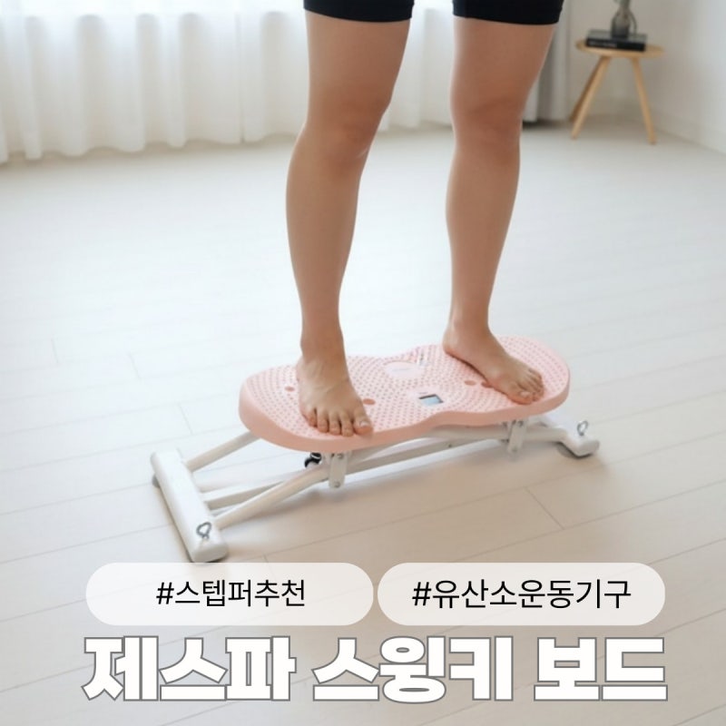 스텝퍼 추천 유산소운동기구 제스파 스윙키 보드 후기