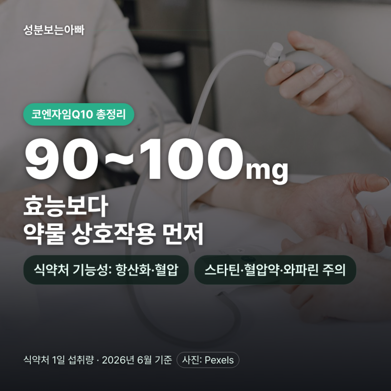 코엔자임Q10 효능·부작용·약물 상호작용 총정리 (2026)