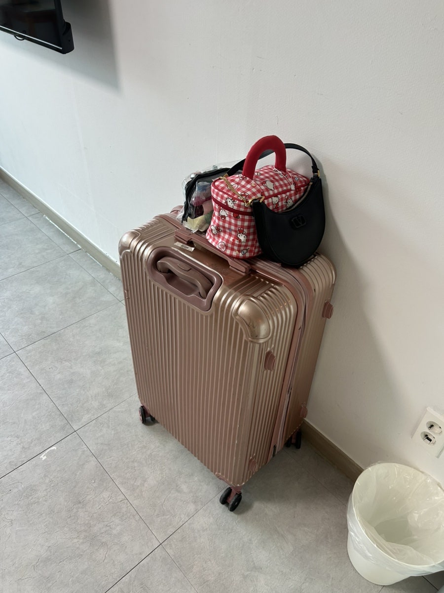 블란디야 사진 5