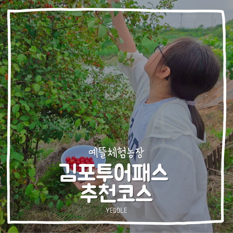 김포농촌투어패스 체험 유형별 추천 코스 총정리