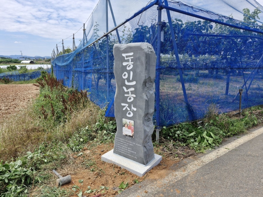 동인 사진 2