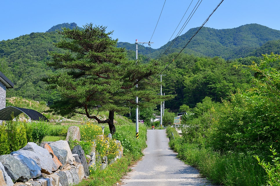 공작현 사진 6
