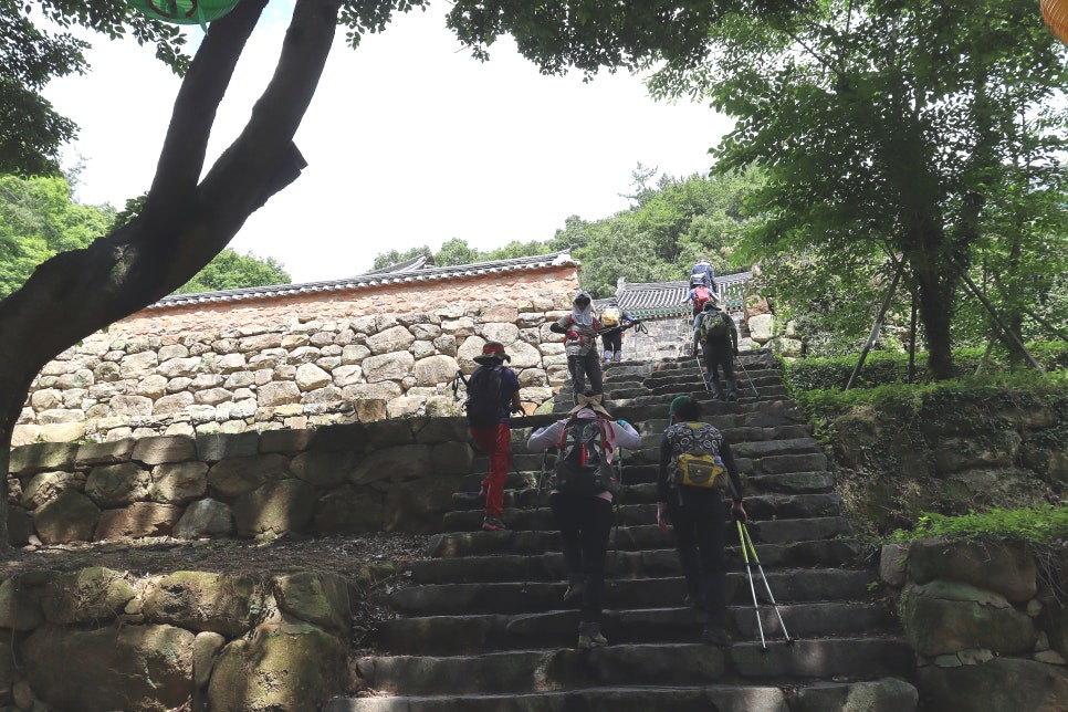 일봉산 사진 5