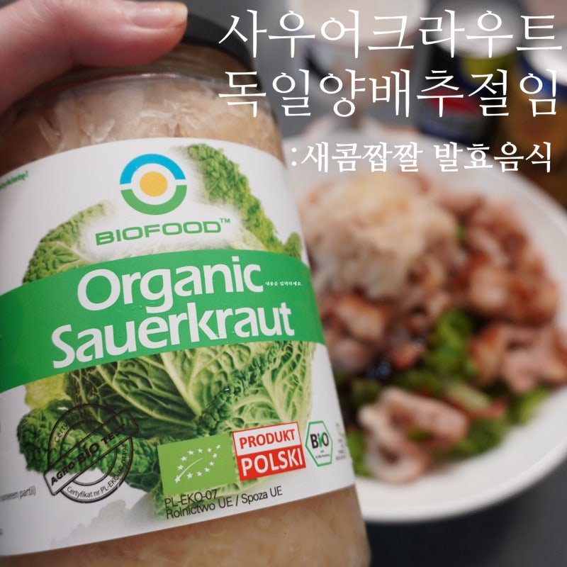 독일 사우어크라우트 새콤 짭짤 젖산발효 낯설지 않은 양배추 김치