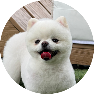 참치학교 강동점 사진 1