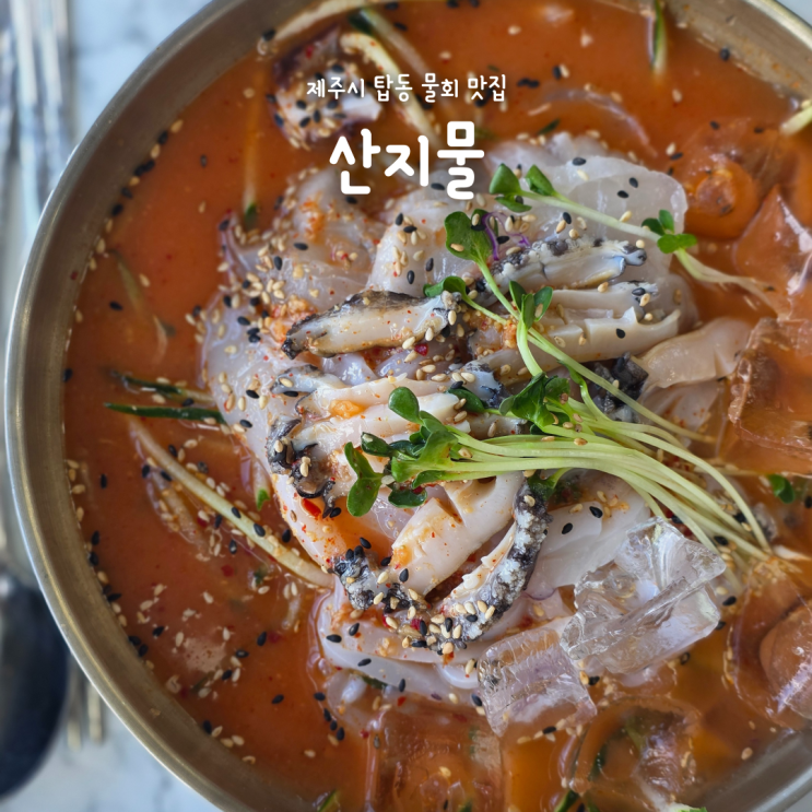 제주 물회 맛집 산지물 제주공항본점, 제주식 물회와 멜튀김 추천