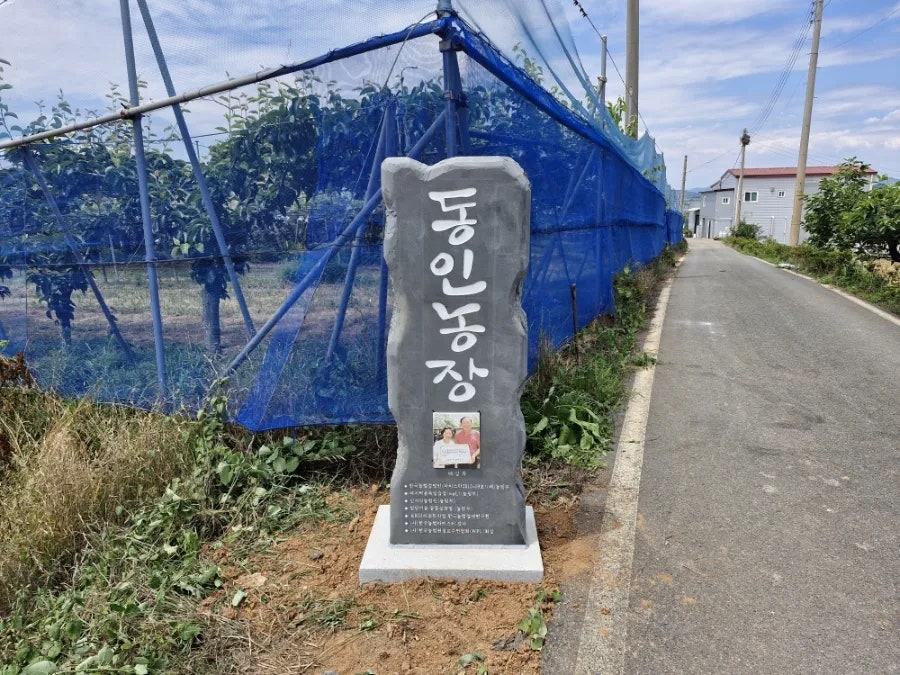 동인 사진 5