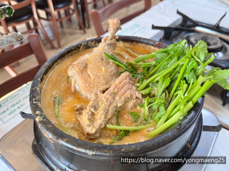 광주 영미오리탕 오리탕거리 맛집 미나리 진한 들깨초장양념장 후기