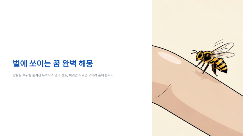 벌에 쏘이는 꿈 상황별 부위별 완벽 해몽 이것만 모르면 오히려 손해 봅니다
